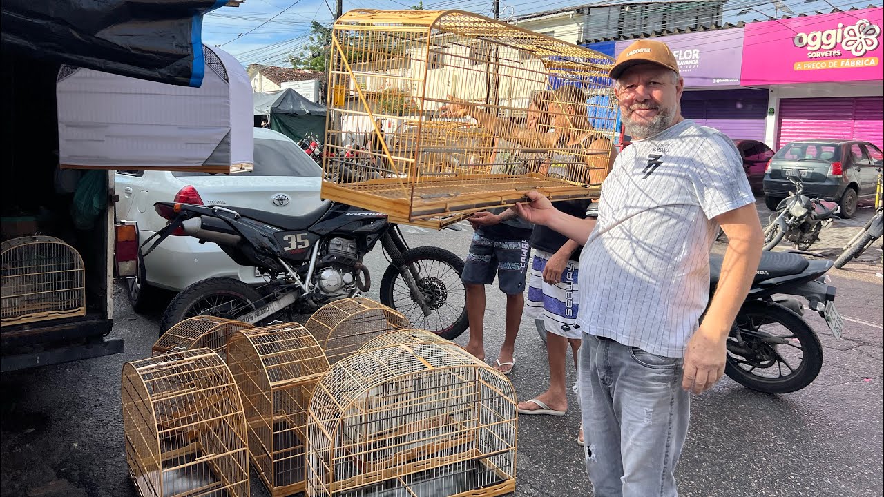 Feira de Gaiolas do Cordeiro 13/07/2025 gaiolas acessórios promoções