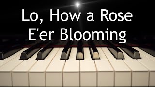 Lo, How a Rose E'er Blooming - Christmas piano instrumental with lyrics by Kaleb Brasee 8,640 views 5 months ago 3 minutes, 37 seconds