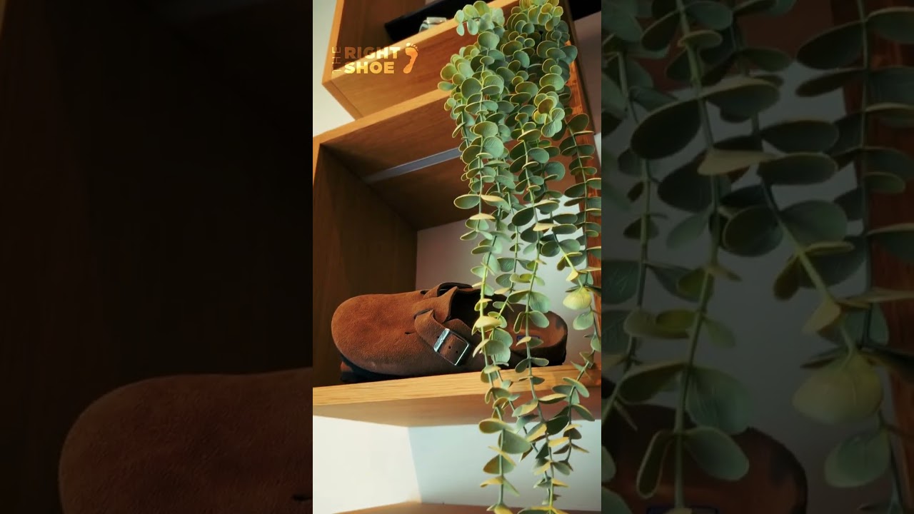 Birkenstock Bostons!