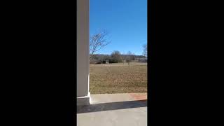 Unknown objects in the sky in the Ozarks (Rolla, Missouri) November 18, 2023