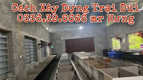 HƯỚNG DẪN CÁCH XÂY DỰNG TRẠI NUÔI DÚI THEO PHONG CÁCH BÁN TỰ NHIÊN HỢP LÝ KHOA HỌC VÀ HIỆU QUẢ NHẤT
