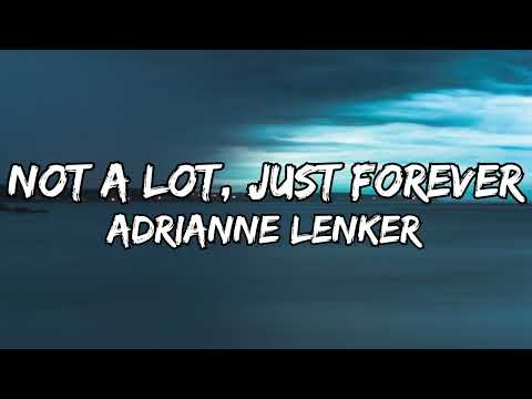 Adrianne Lenker - Not A Lot, Just Forever (lyrics)