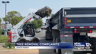Santa Maria residents upset over removed trees at Crossroads Shopping Center