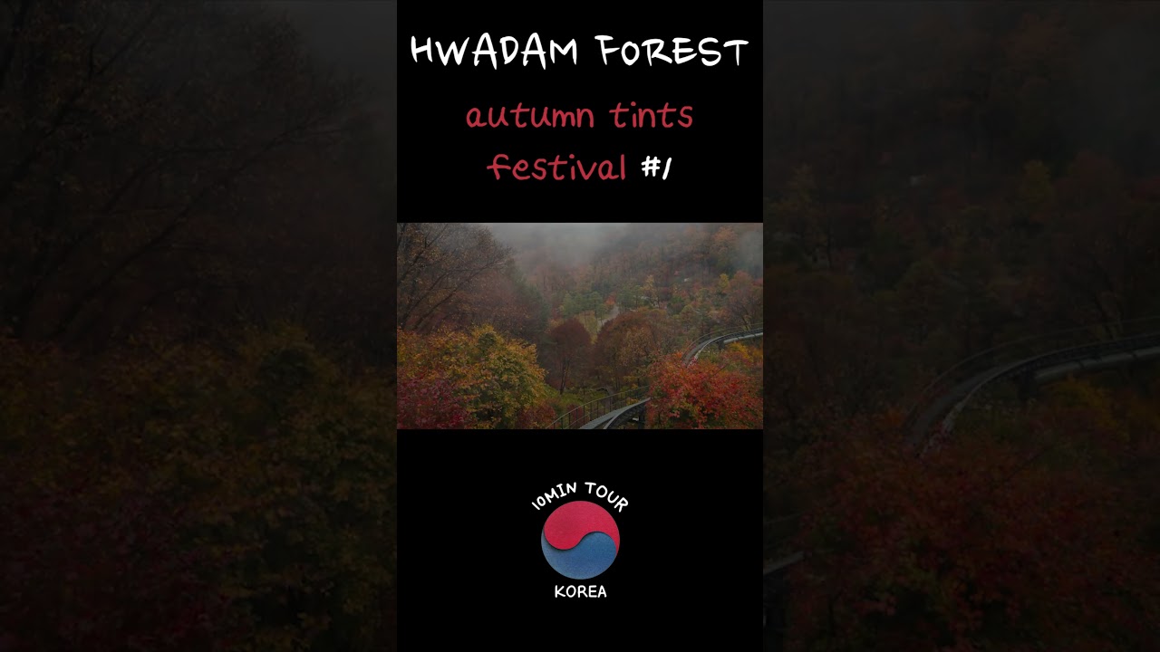 HWADAM forest autumn tints tintsfestival #1