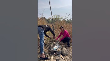 Indian rock python rescue