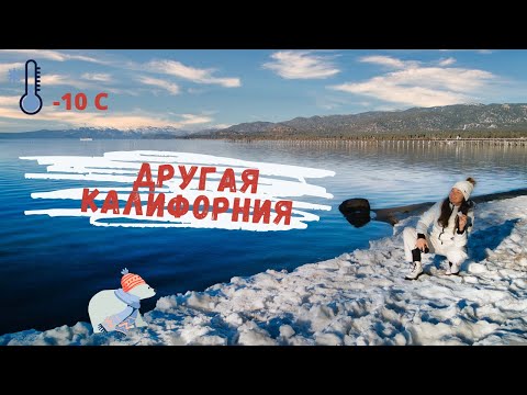 Видео: Калифорнид сэрүүцэх үе бий юу?