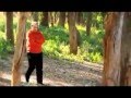 Aziz liwaa Balfsahi   يا دليلا على الخير -- عزيز لواء  -- clip (officiel ) 2013