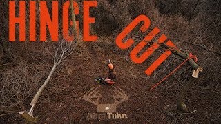 Hinge Cut