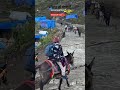 kedarnath track 🔱🙏#trending #viral #video