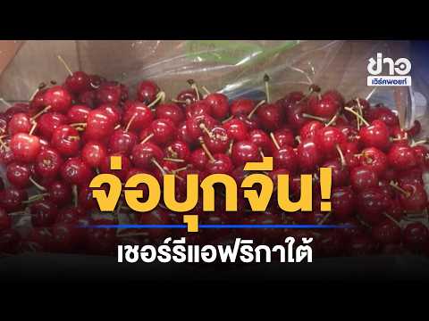 จ่อบุกจีน! เชอร์รีแอฟริกาใต้ เตรียมลุยตลาดยักษ์ใหญ่