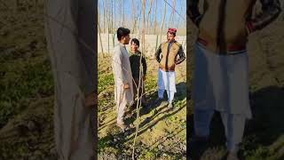 Aqrb Aw Tiktok Massege For Tiktoker In A Funny Vedio Aqrb Tepar Aw Tiktok