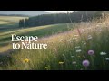 11 Minutes of Pure Relaxation 🌿 | Calming Nature Sounds for Focus, Sleep & Stress Relief