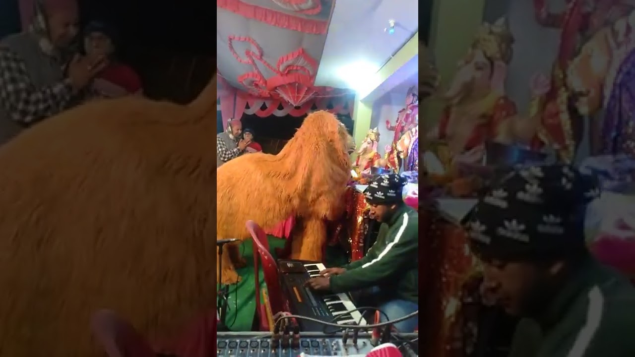 paharan diye raniye by Priya katoch Himachali Arvind