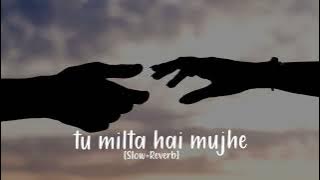 Tu Milta Hai Mujhe | [Slow Reverb] | Ruhani & Paras | Raj Barman | Rashid Khan | Anjaan Sagri |