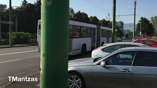 RATBV : (RO) Brasov Buses