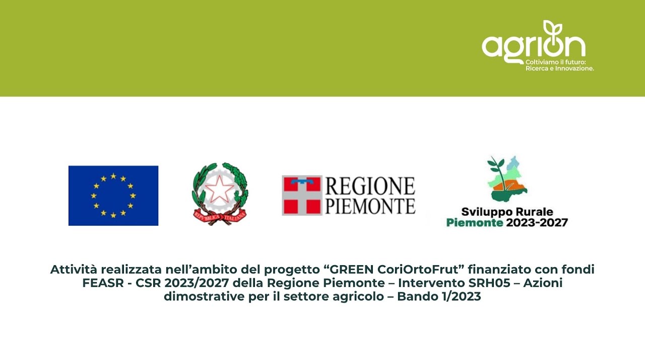 La tecnica del sovescio -  Fondazione Agrion