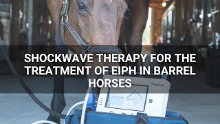 Shockwave Therapy for the Treatment of EIPH in Barrel Horses