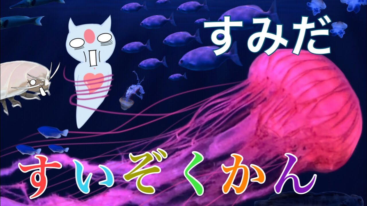 【東京】すみだ水族館で魚クイズ！