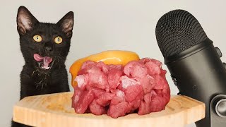 CAT EATING RAW MEAT & EGG YOLK ASMR MUKBANG