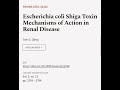 Escherichia coli Shiga Toxin Mechanisms of Action in Renal Disease | RTCL.TV