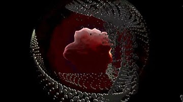 Painting | Amorphous Sphere | Music Visualization - doodooc.com