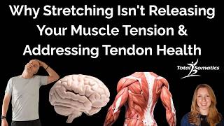 Why Stretching Isn't Releasing Your Muscle Tension & Addressing Tendon Health