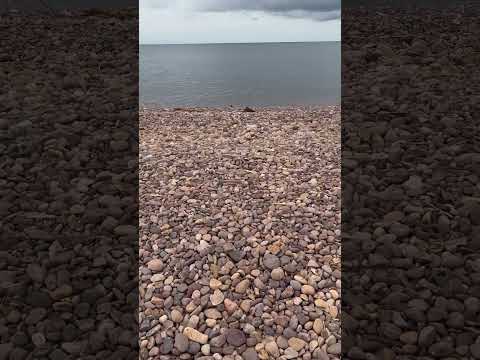 Beach At Lake Tanganyika In Kigoma Town Tanzania Ufukweni Mwa Ziwa Tanganyika Kigoma Mjini 