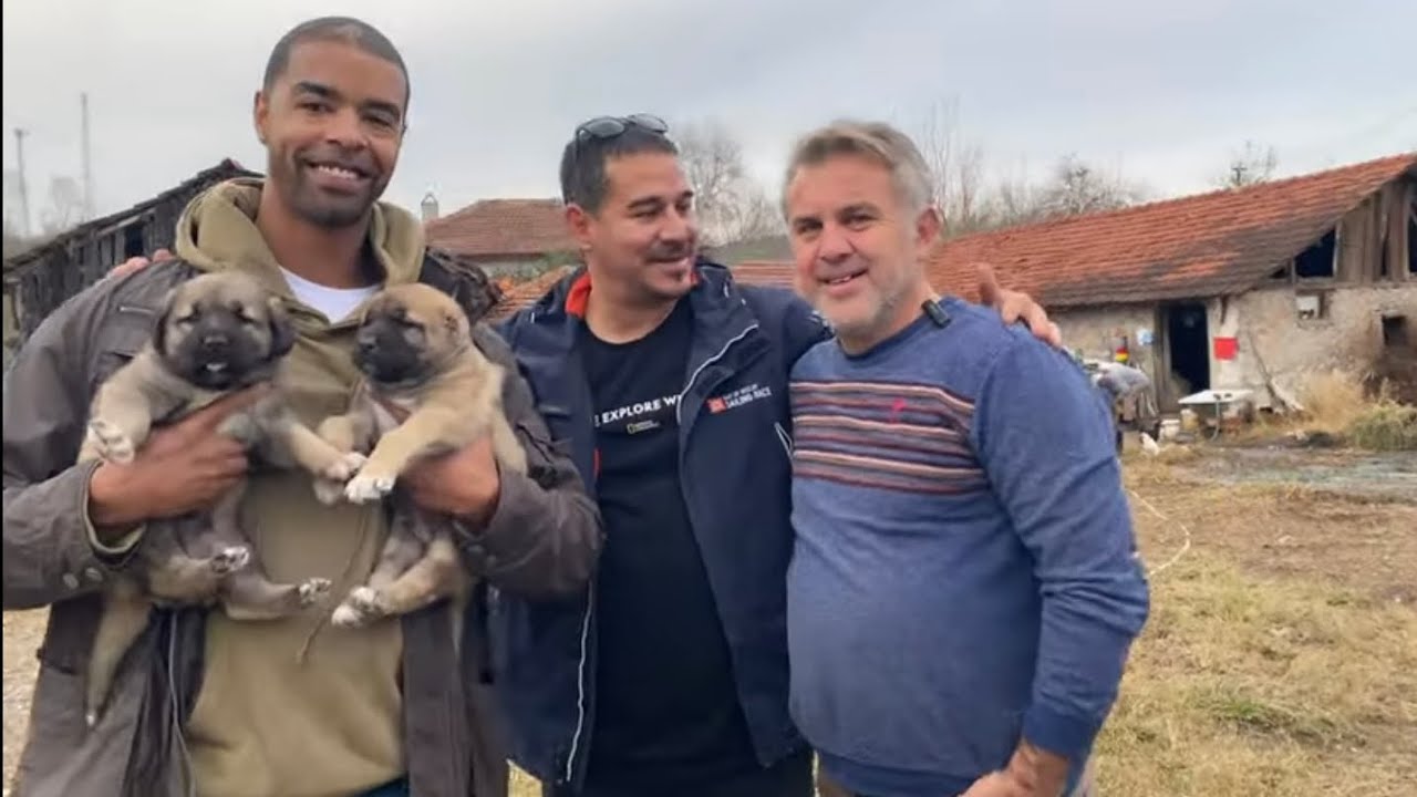 NBA OYUNCUSU’NUN ÇOBAN KÖPEĞİ TUTKUSU ~ Dev adayı yavrular Amerika yolcusu