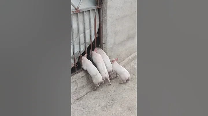 My head is stuck #cute #baby #viral #viralvideo #shorts