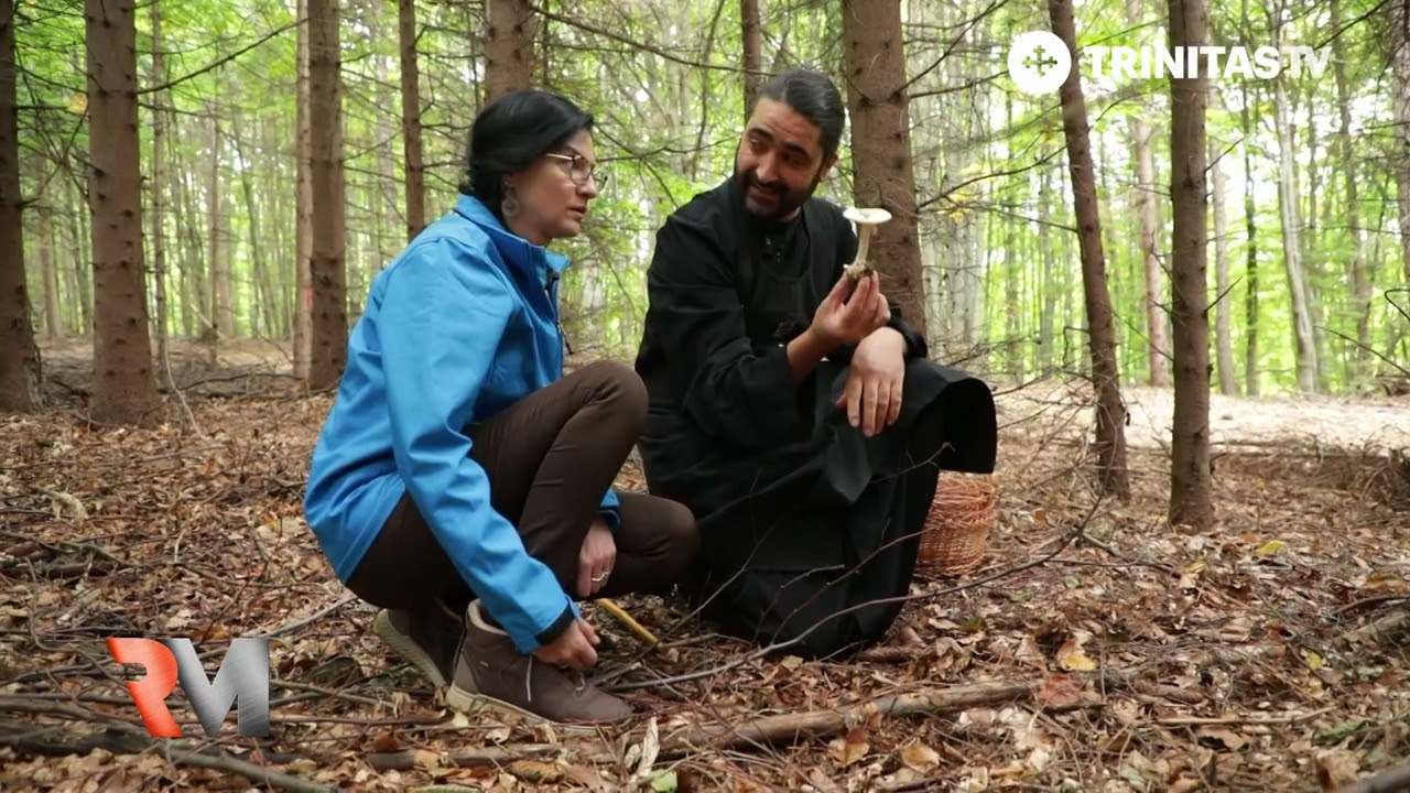 La cules de ciuperci cu călugării mănăstirii Slănic