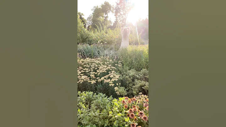 What’s your 2025 garden resolution? Plastic reduction? Better soil health? Self care? Let me know!