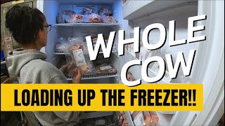 Picking up our Whole Cow & Storing it in our Freezers | Full List of Every Cut & Pounds