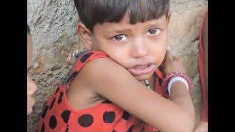 Nutrition Monitoring System