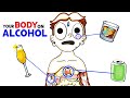 How Alcohol Changes Your Body