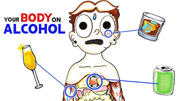 How Alcohol Changes Your Body
