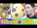 ポケモンGO!10km卵16連!ドン!