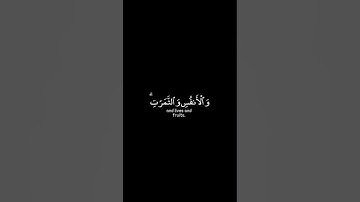 ولنبلونكم بشيء من الخوف والجوع | كرومات قرآن كريم بصوت #عبدالباسط_عبدالصمد | #سورة_البقرة