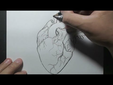Como desenhar coração