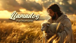 Misa de Domingo: Ilamados por Nombres, 6/14/2026, 12:00 pm