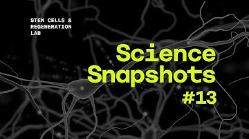 Science Snapshot: (Re) Generating Neurons