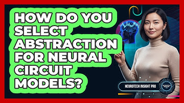 How Do You Select Abstraction for Neural Circuit Models?