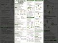 plant kingdom#biology# Ncert based short notes and pyq