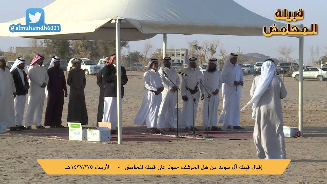 إقبال قبيلة آل سويد من هل الحرشف حبونا على قبيلة المحامض