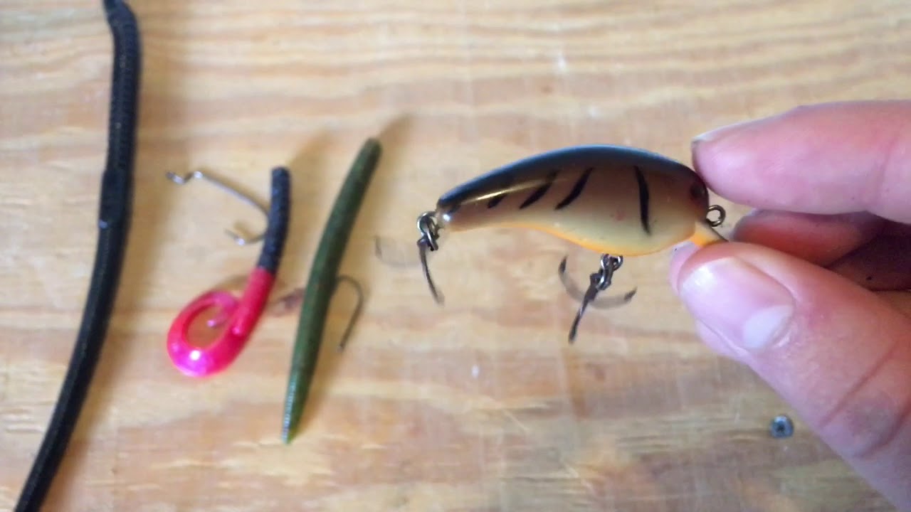 Best Baits To Throw In Ponds While Fishing From The Bank YouTube