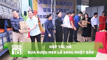 Hợp tác xã đưa rượu men lá sang Nhật Bản | VTC16