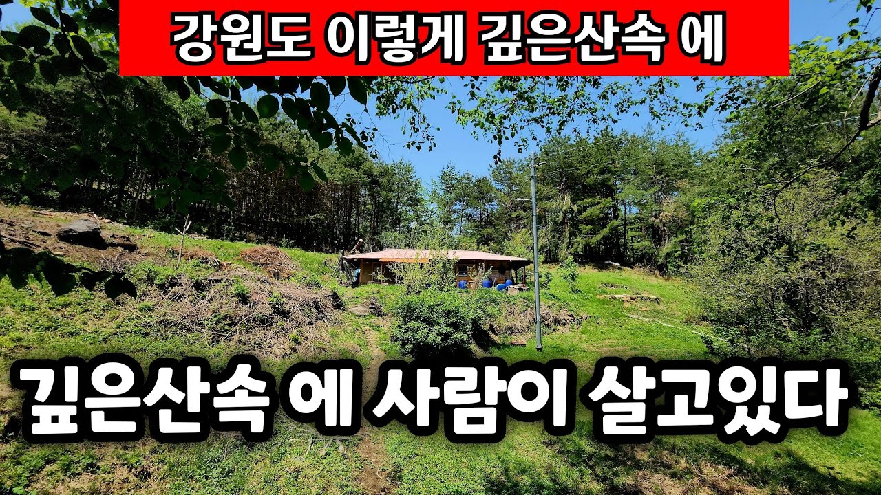 깊은산속 오솔길 따라 산하나 넘어가면 만날수 있는 자연인 집 이런곳에서 어떻게 사는지 궁금합니다 - YouTube