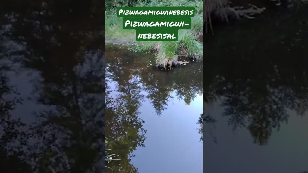 How to say a Wilderness Pond speaking Abenaki Language 🗻