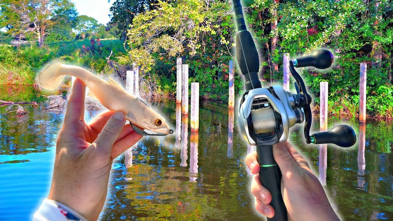 Fishing With GIANT Soft Swimbaits For LATE Summer Bass (Found One)