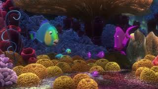 Finding Nemo Sponge Beds 