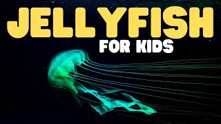Jellyfish for Kids | Learn about the graceful invertebrates!